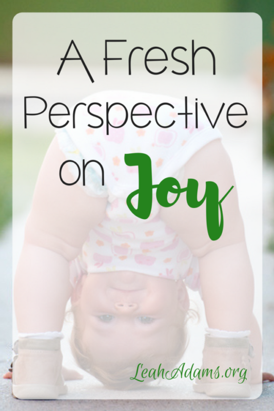 Fresh Perspective on Joy