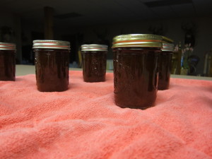 Homemade Crock Pot Apple Butter 