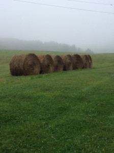 Picture Prompt for Week 2 at The Loft Link-Up.