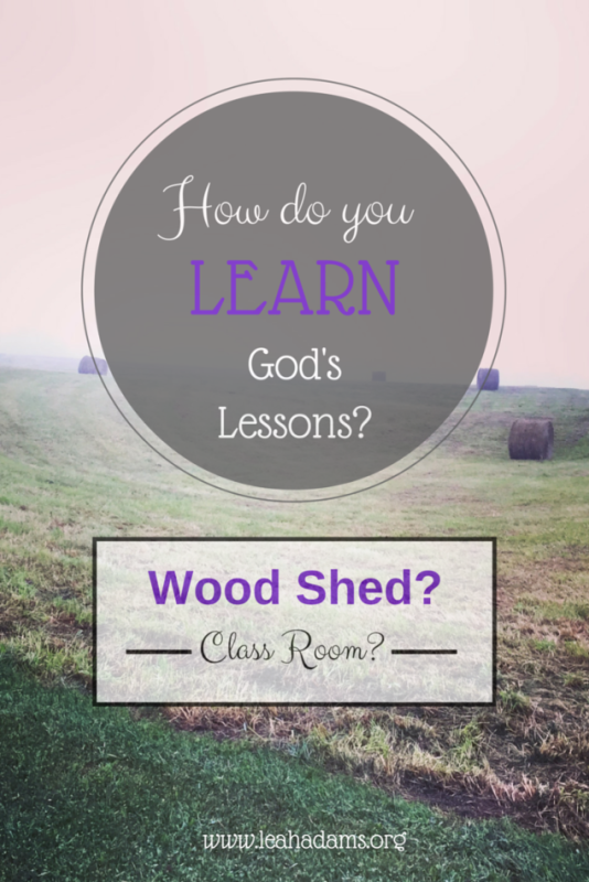 Five Minute Friday~ Learn: The Wood Shed or the Class Room?