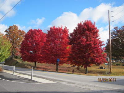 The Loft Link-Up – Autumn