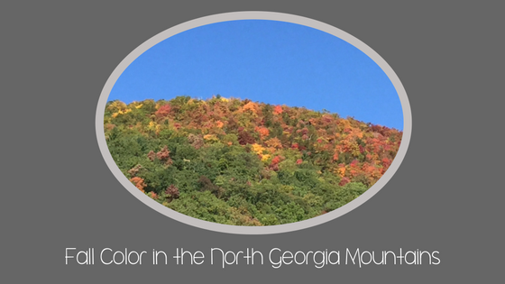 Fall Color in the North Georgia Mountains