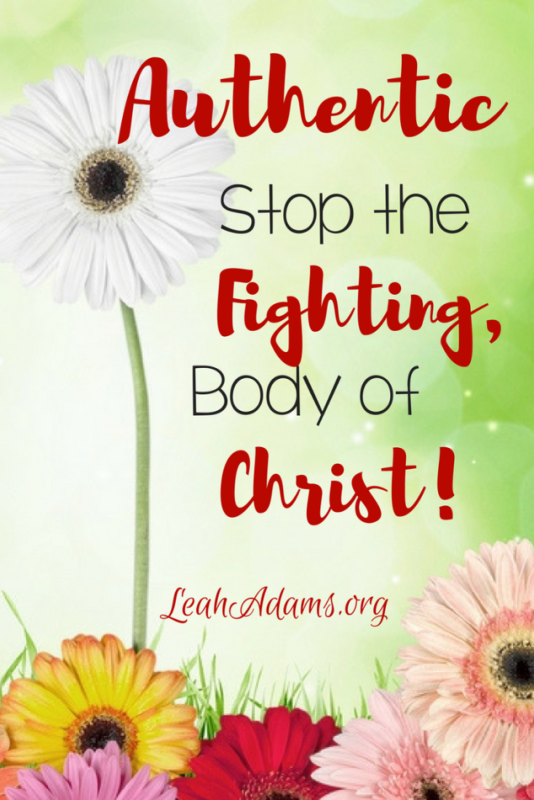 Authentic Stop The Fighting Body of Christ