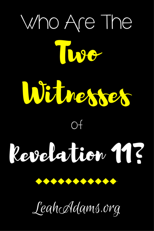 Two Witnesses of Revelation 11