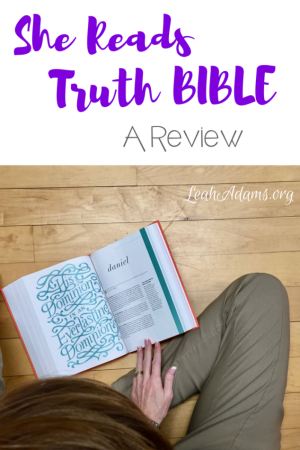 The She Reads Truth Bible: A Review