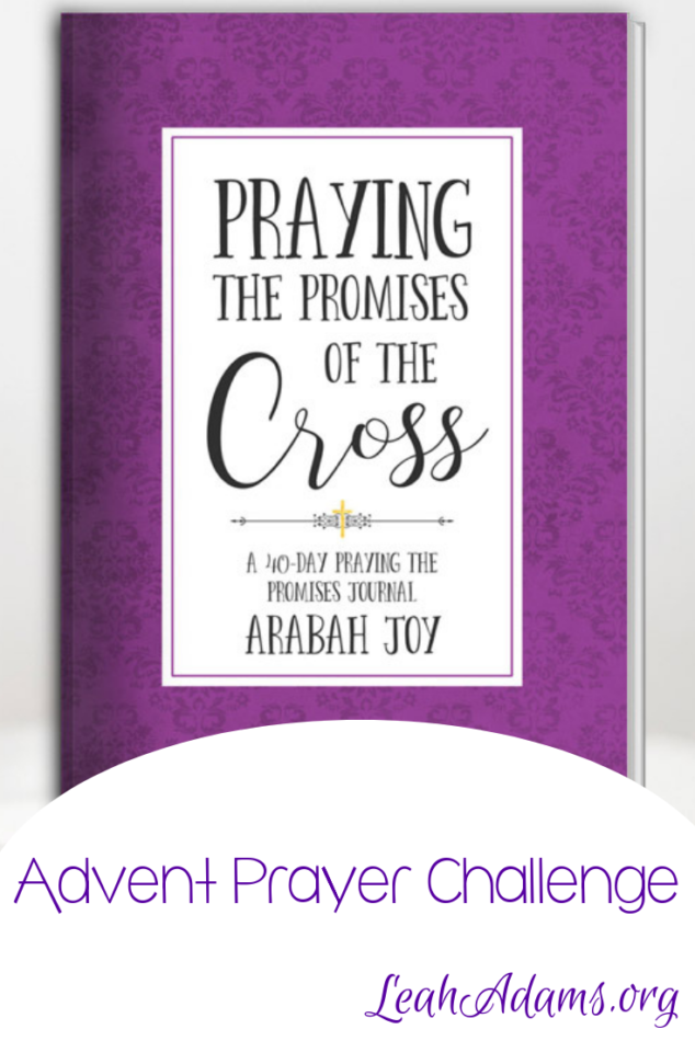 Advent Prayer Challenge